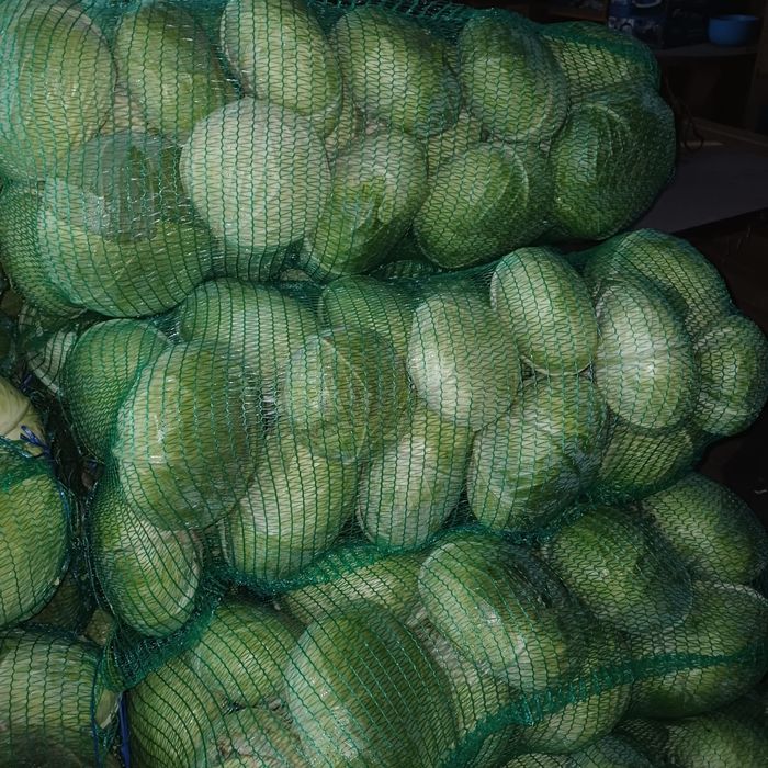 Varzā platā de toamnā