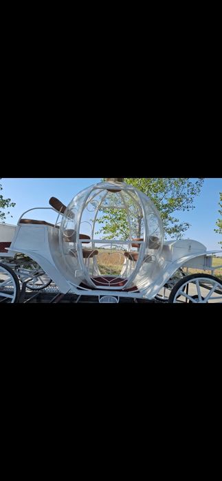 Trasura glob!trasura