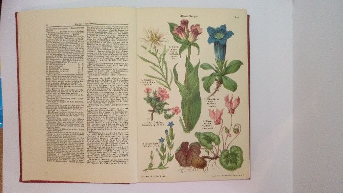 Carte / Carti Jedermanns LEXICON tiparit 1929/1930/1931 - 10 volume