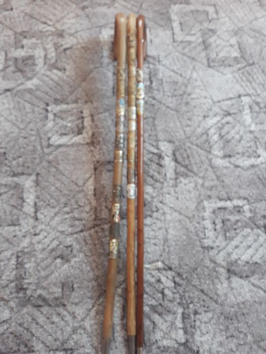 Bastoane pt drumeție,de colecție