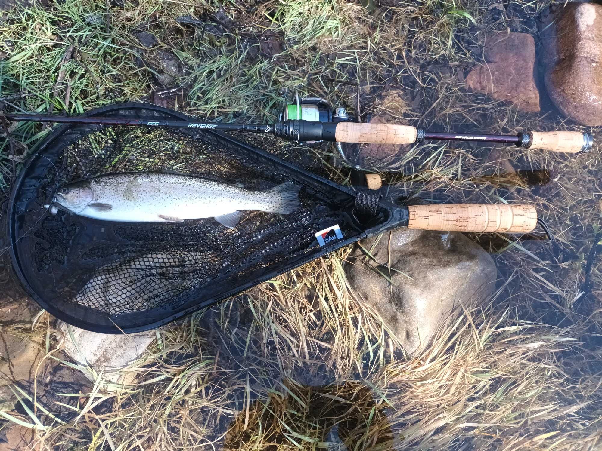 Спининг Maximus Marauder Twiching 198L 3-14гр; Daiwa Certate 04g