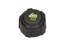 Buson,vas expansiune Nissan JUKE F15 2010-2016 1793184A00