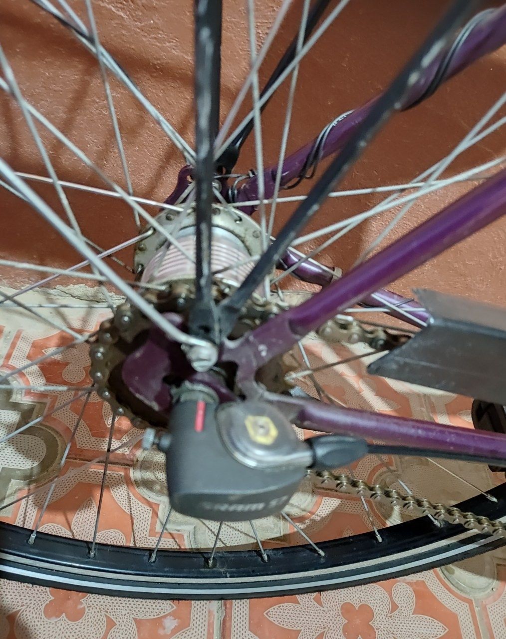 Pegasus velosiped Germaniya