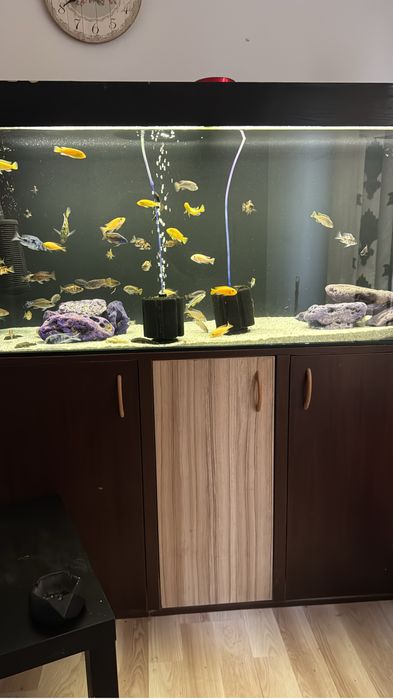 Acvariu complet 450 litri