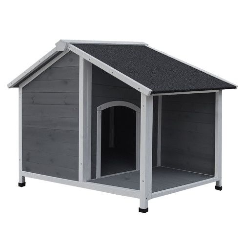 Cusca caini diverse modele