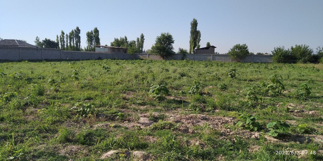 Продается участок земли 40 соток +15.  в районе Аккурган.