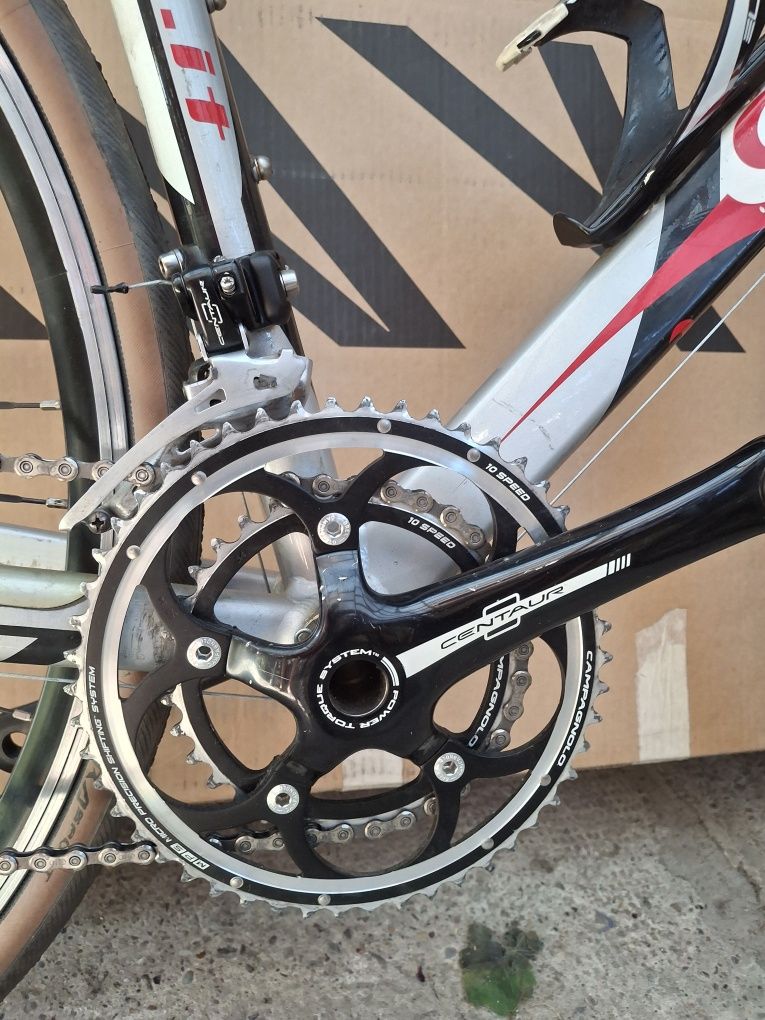 Cursiera wilier triestina