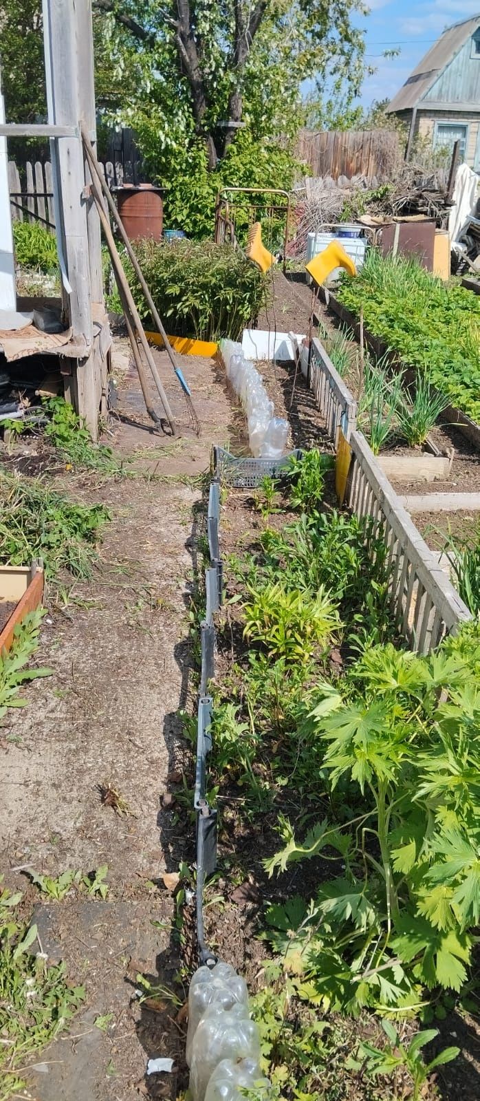 Срочно продам дачу сады 1 аппендицит