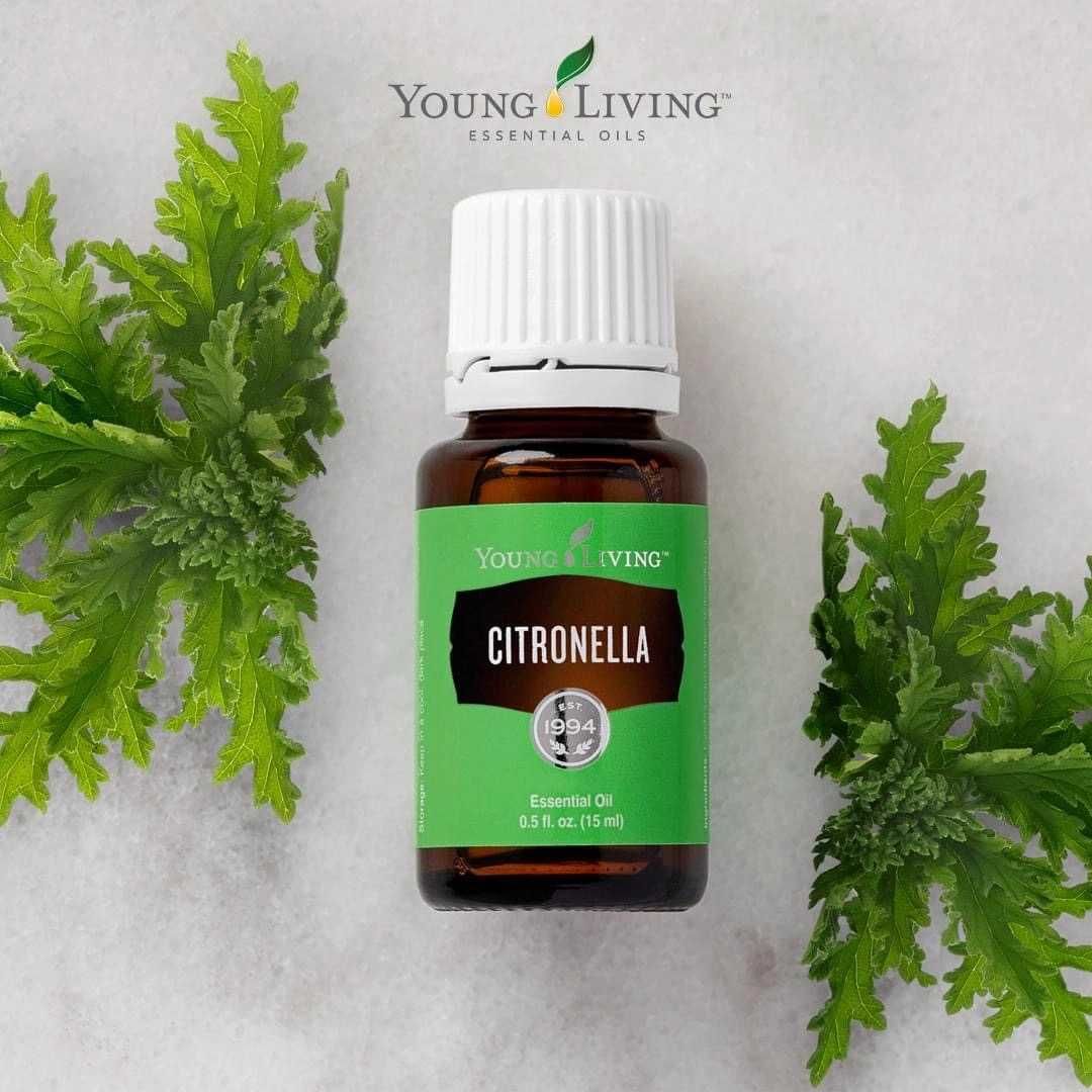 Ulei esential pur Citronella - Young Living