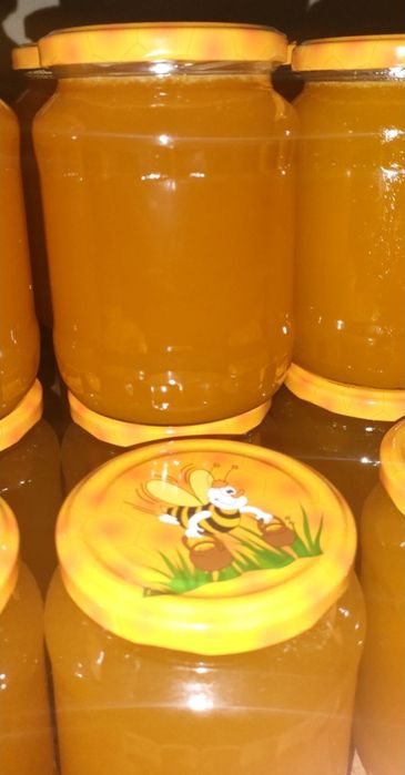 Miere naturală- Producție proprie
