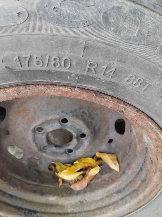 Vand roti de iarnă wolwsagen.