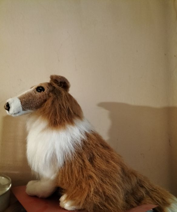 Collie scoțian pluș