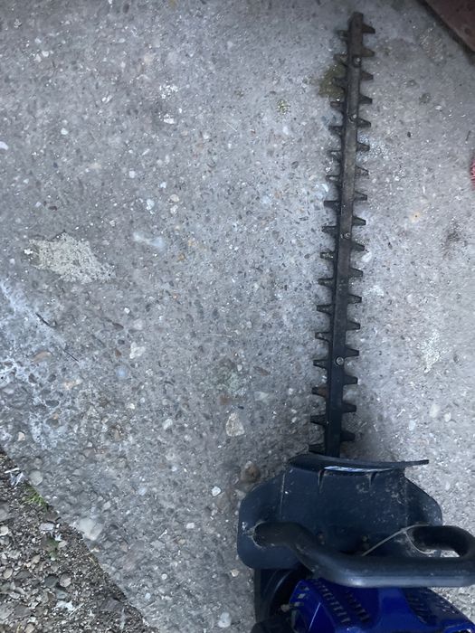 Motocositoare gard viu
