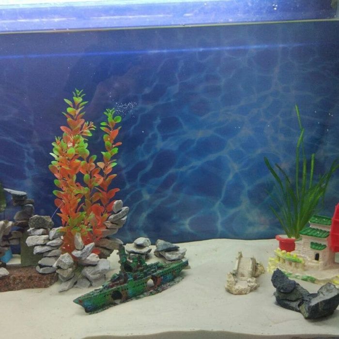 Кварцевый песок для аквариума и террариума