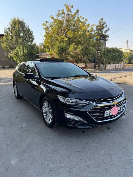 Малибу. .2022   Примэр.  Кора.