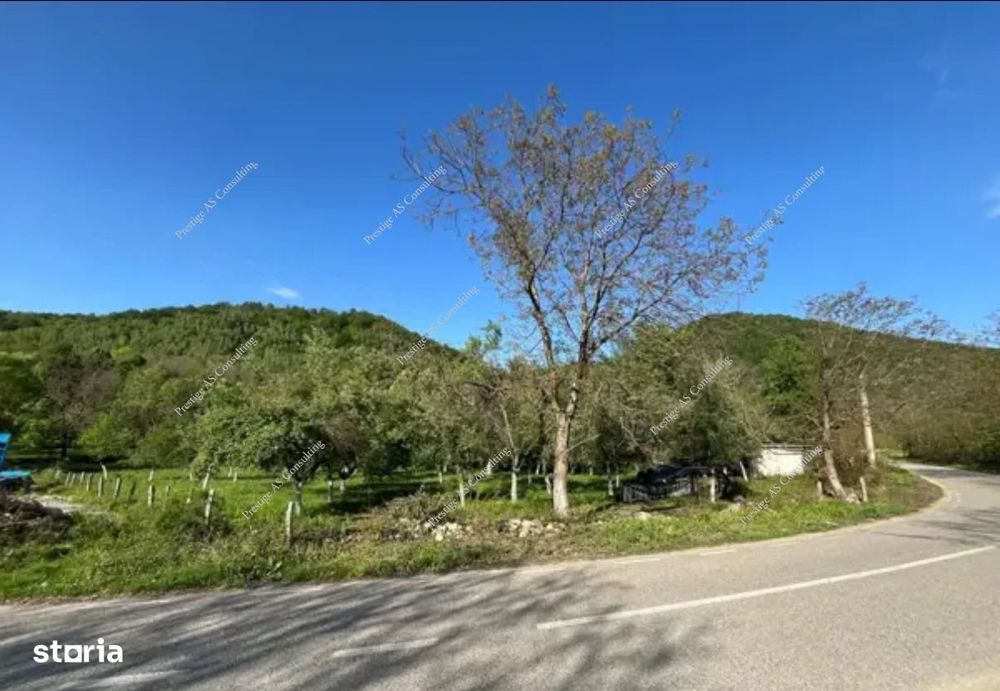 Teren 2000mp | Muntele Mic