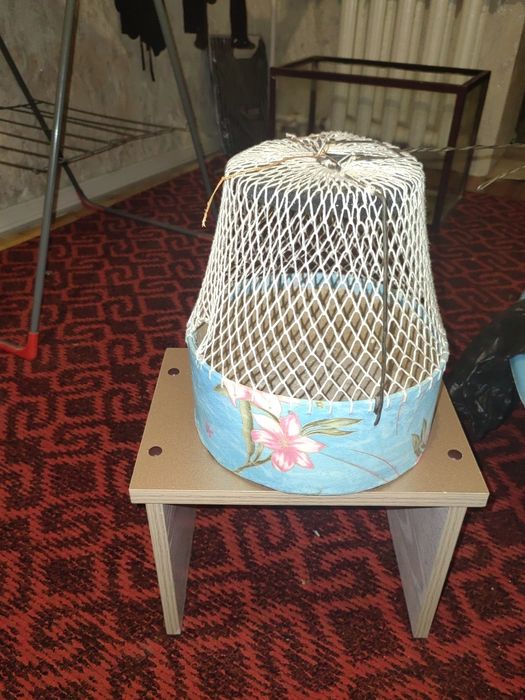 Бедана кафаси янгидей