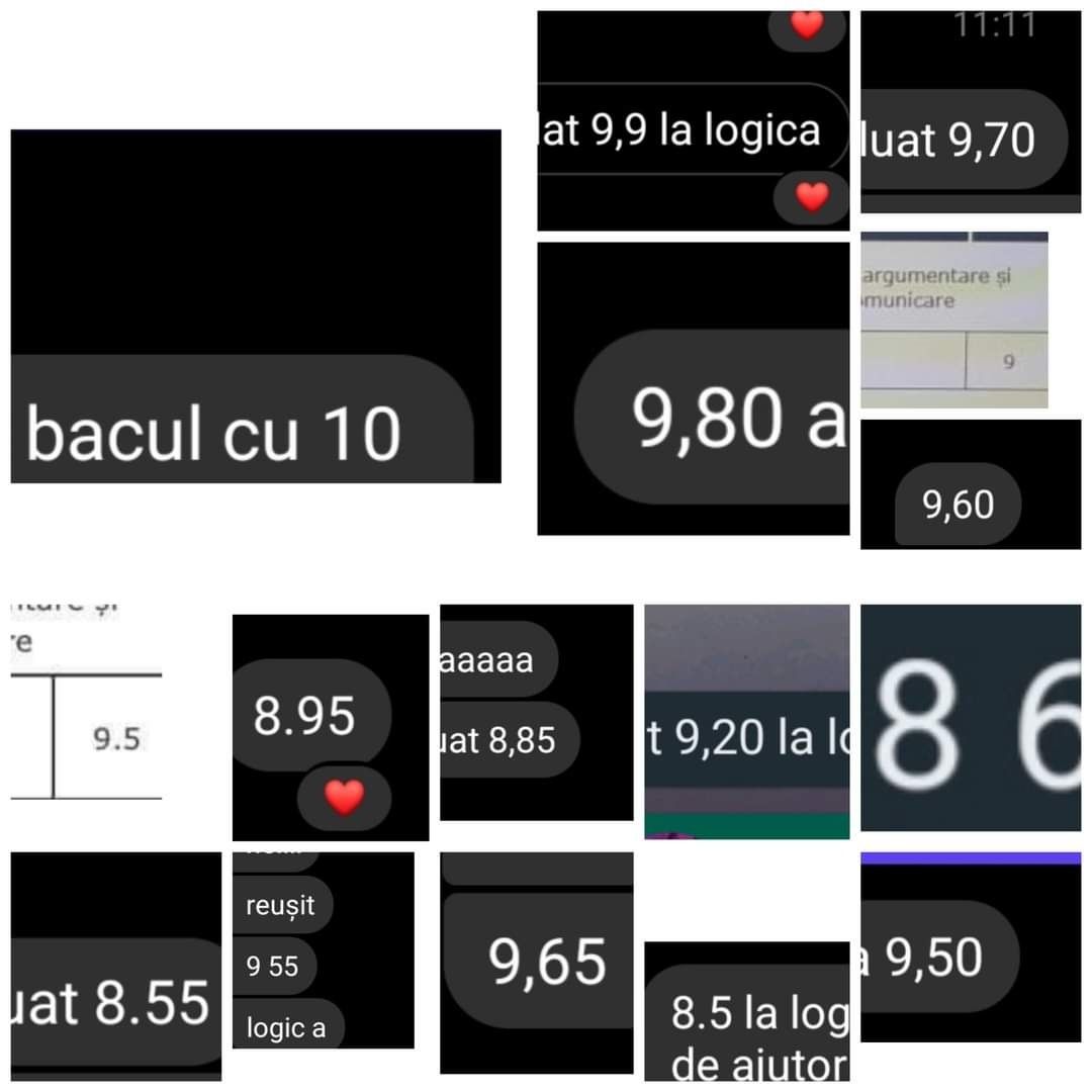 Meditații Logică Bacalaureat
