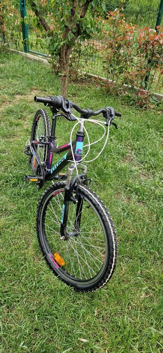 Bicicleta MTB Cross Speedster fete