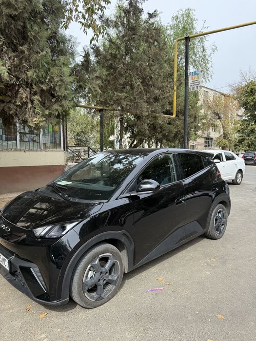 byd seagull 2024