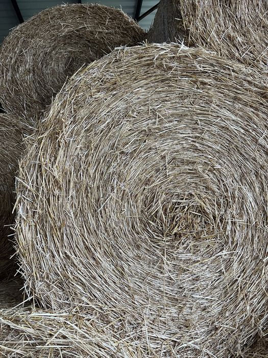 Бали слама пшеничена