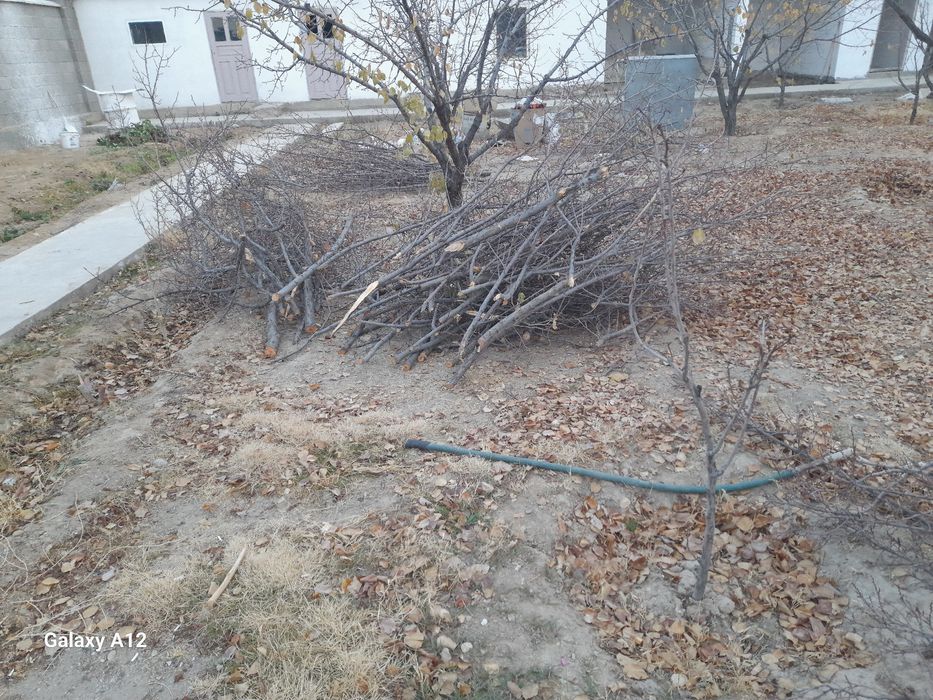 Ағаш отындыққа жарамды