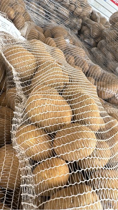 Cartofi origine Franta