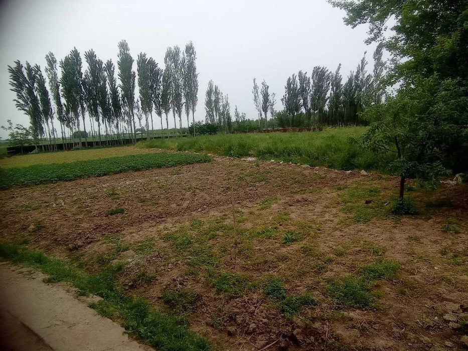 Uy sotiladi yaxshi joydan