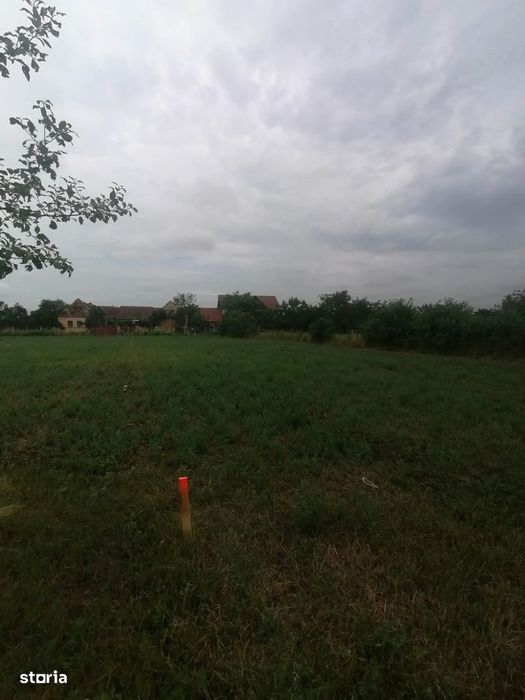 Bucovat - Teren intravilan -loc de casa - 1205 mp -Front 18m