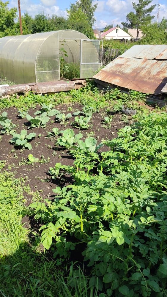 Продам 3хкомн дом