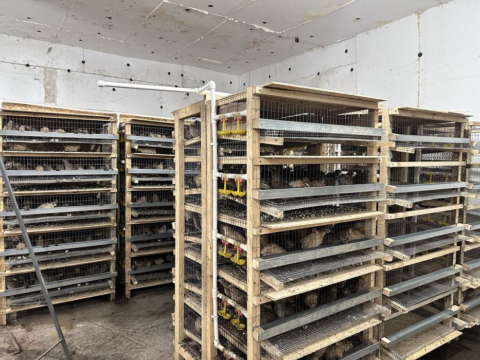 Продам действующий бизнес