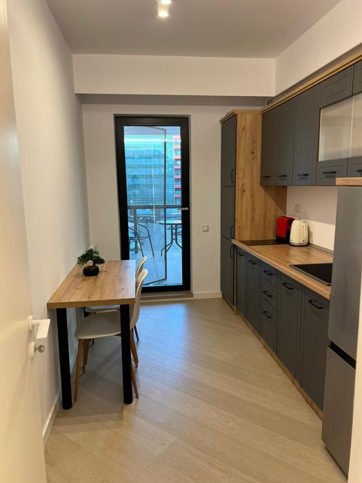 Cortina North - Studio 42mp, faza 2 cu vedere in curte