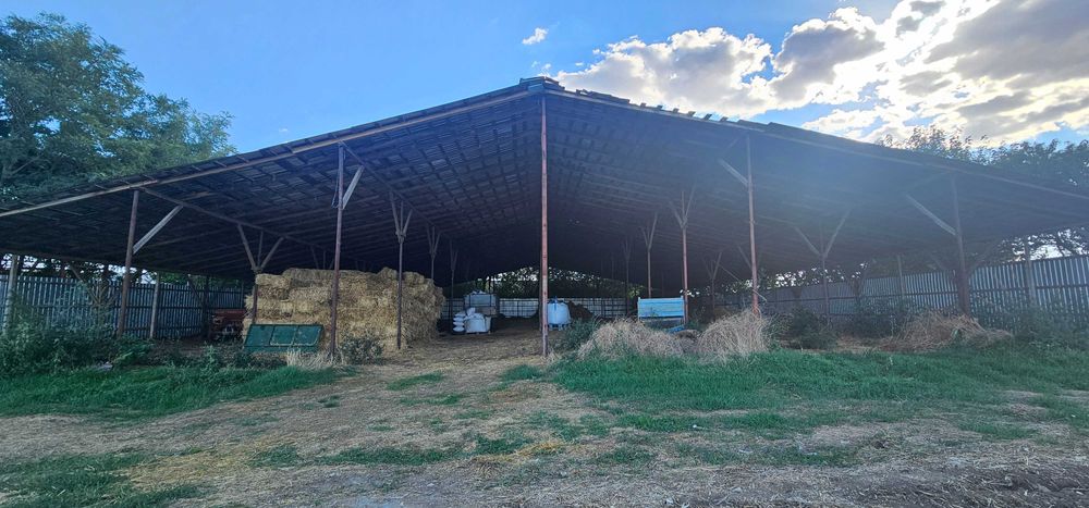 Ferma 6000 mp (cladiri, grajduri, hambar - intravilan)