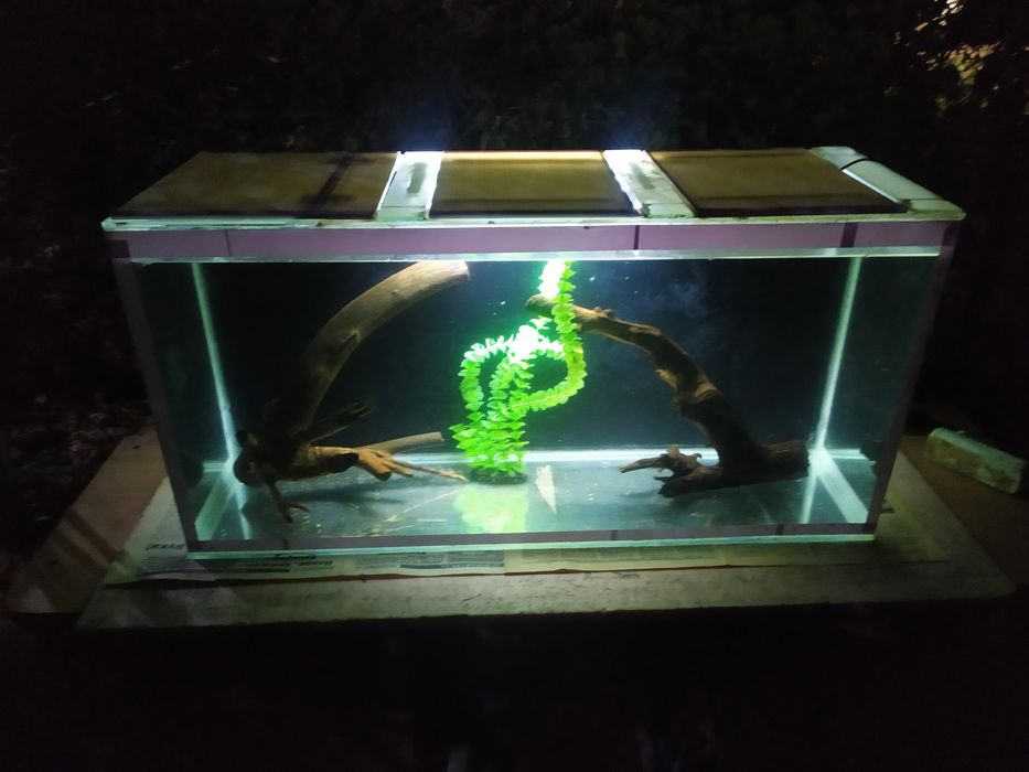 Аквариум 142л + бонусы и рыбки.