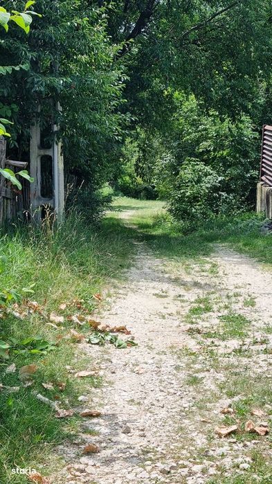 Arges Campul Lung Muscel 5700 mp d=33ml