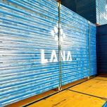 SUPER PROMO Panouri cofraj originale LANA