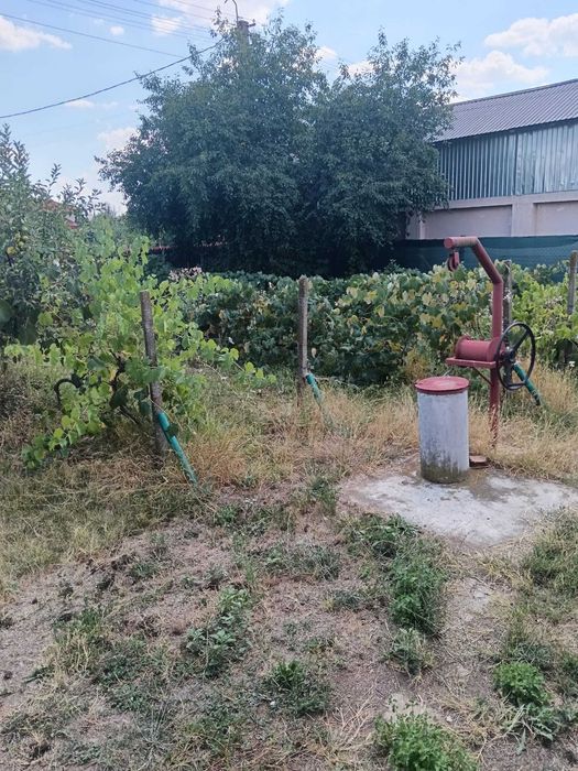 Vand casa cu garaj si fanar în comuna Teiu, sat Teiu Vale, jud. Argeș
