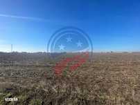 Teren 5000 mp Ghercesti in apropierea DEX