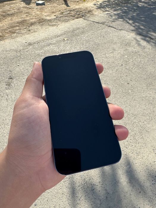 Iphone 13 pro Delphn rang