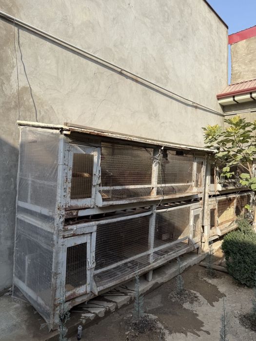 Паррандалар учун кафаслар сотилади