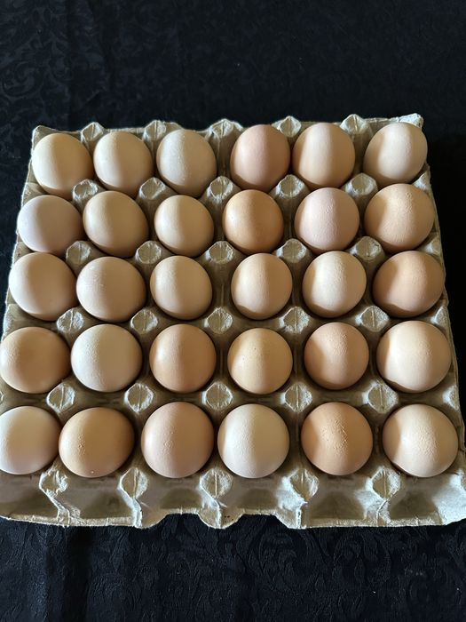 Oua “de tara” proaspete