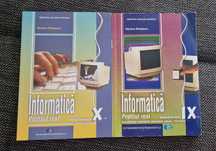 Carti informatica clasa IX și X