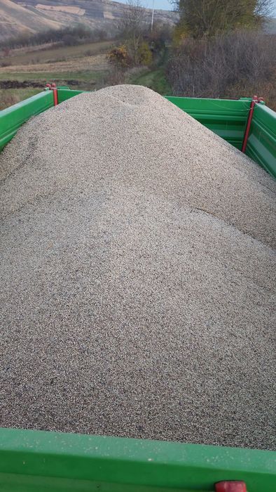 Sorg boabe alb si rosu