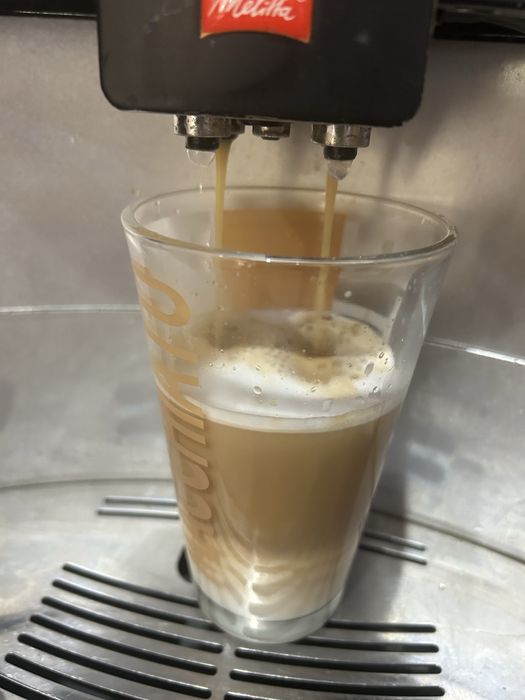 Espresor  cafea Melita Barista-piese