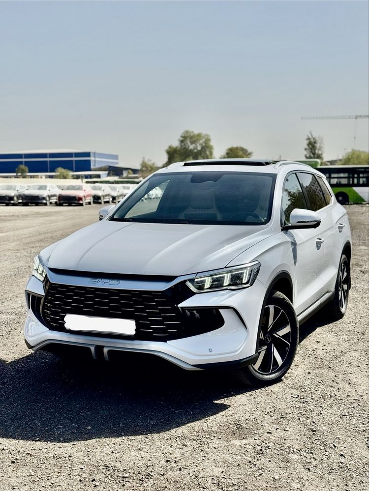 Byd song pro ideal 2024
