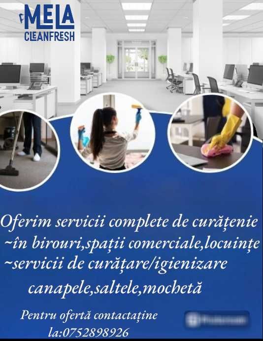 Servicii de curățenie profesională