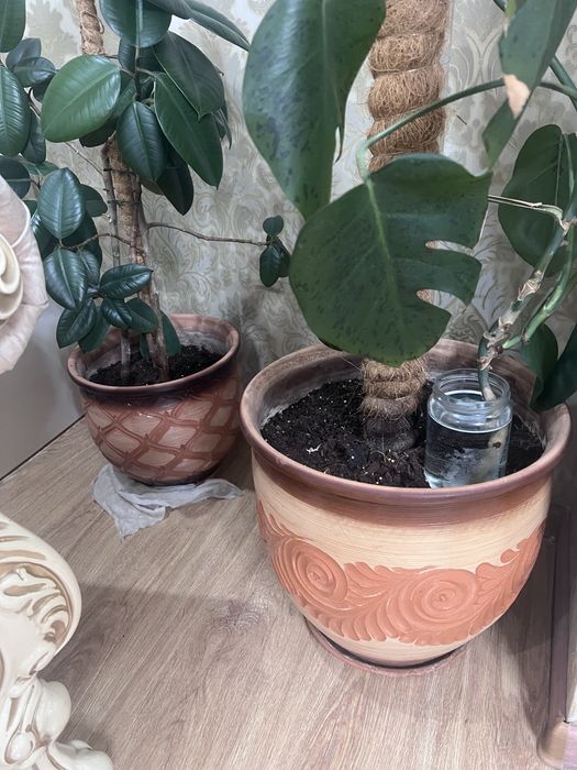 Керамический горшок для цветов Косшы