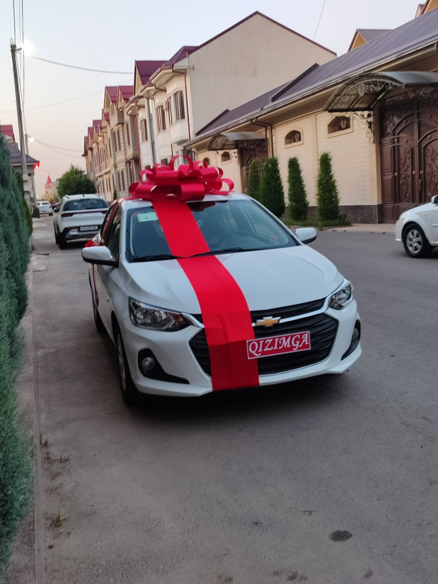 Bantik,lenta,Avtobantik,lenta бант для машины