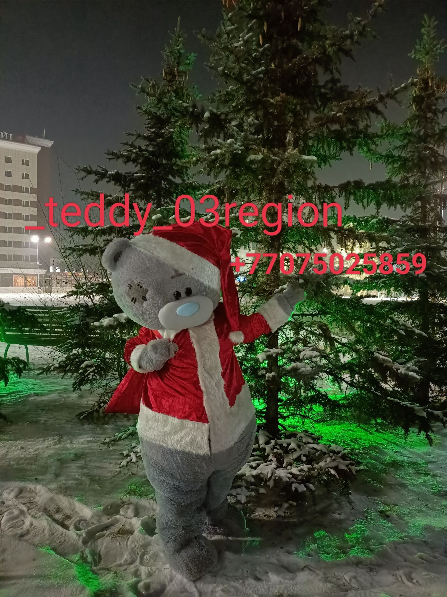 Мишка Тедди поздравит вас