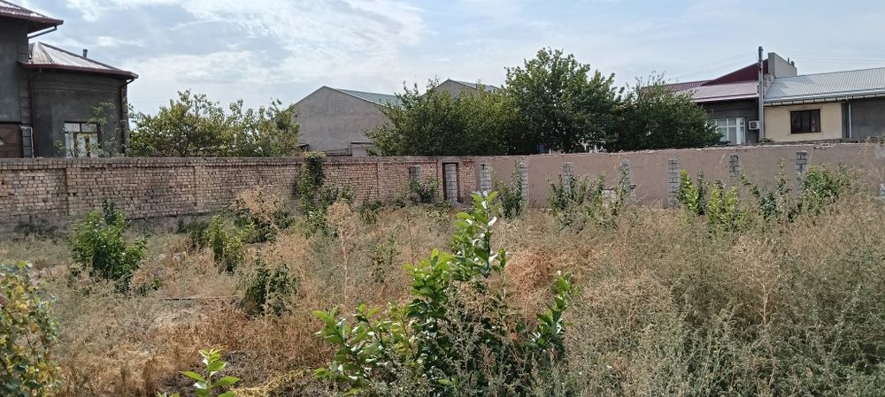 Ер сотилади СРОЧНО 8 сотих 20/40